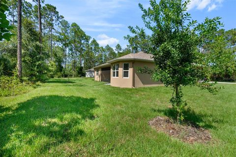 A home in PALM COAST