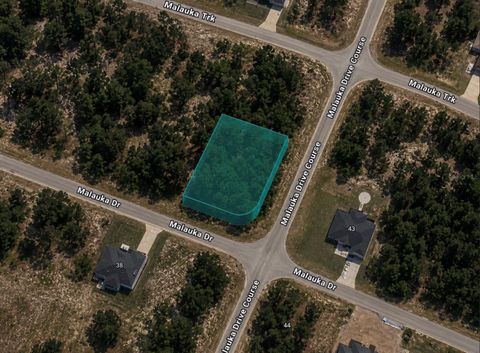 Photo of 0 Malauka Drive, Ocklawaha, FL 32179 (MLS # TB8517078)