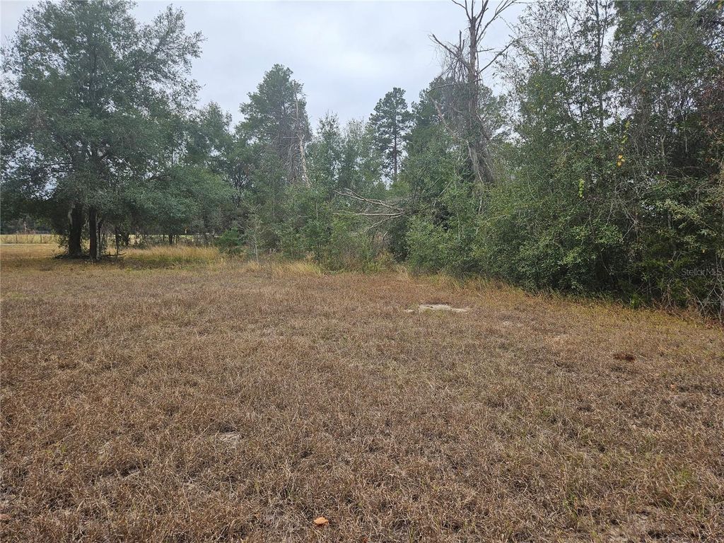 Photo of SE Highway 42, Weirsdale, FL 32195 (MLS # O6380480)