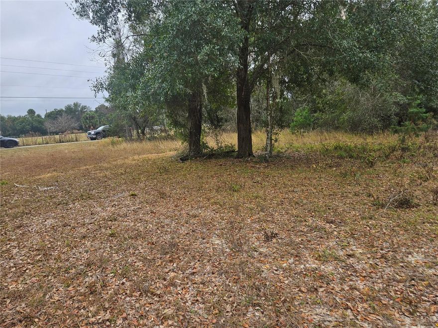 Don't miss this rare opportunity to own this affordable 2.03 acres of land. Buildable level lot, non-flood zone. FLOOD ZONE X. Located in a peaceful, yet accessible area. This property offers the perfect blend of privacy and convenience, with easy access to the villages, Ocala, Summerfield and major highways, lots of shopping/medical facilities. City water and sewer are close by for connection. Duke energy for electric. Land is ready for your vision. Build your ultimate dream home with no HOA restrictions.
