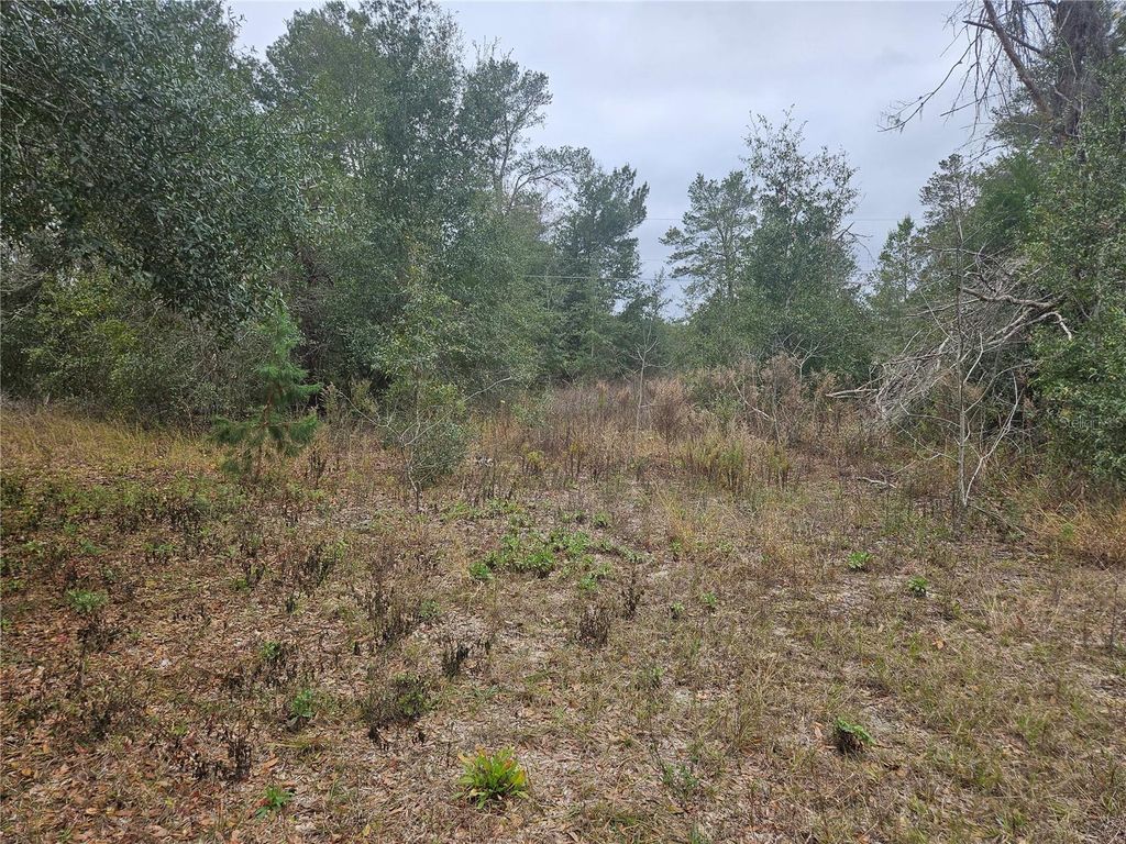 Photo of SE Highway 42, Weirsdale, FL 32195 (MLS # O6380480)