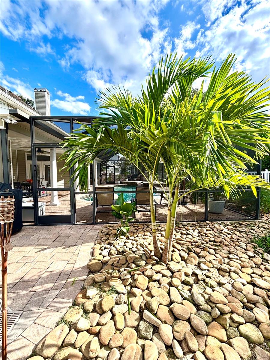 VILLAGE/SCOTT LAKE - Residential