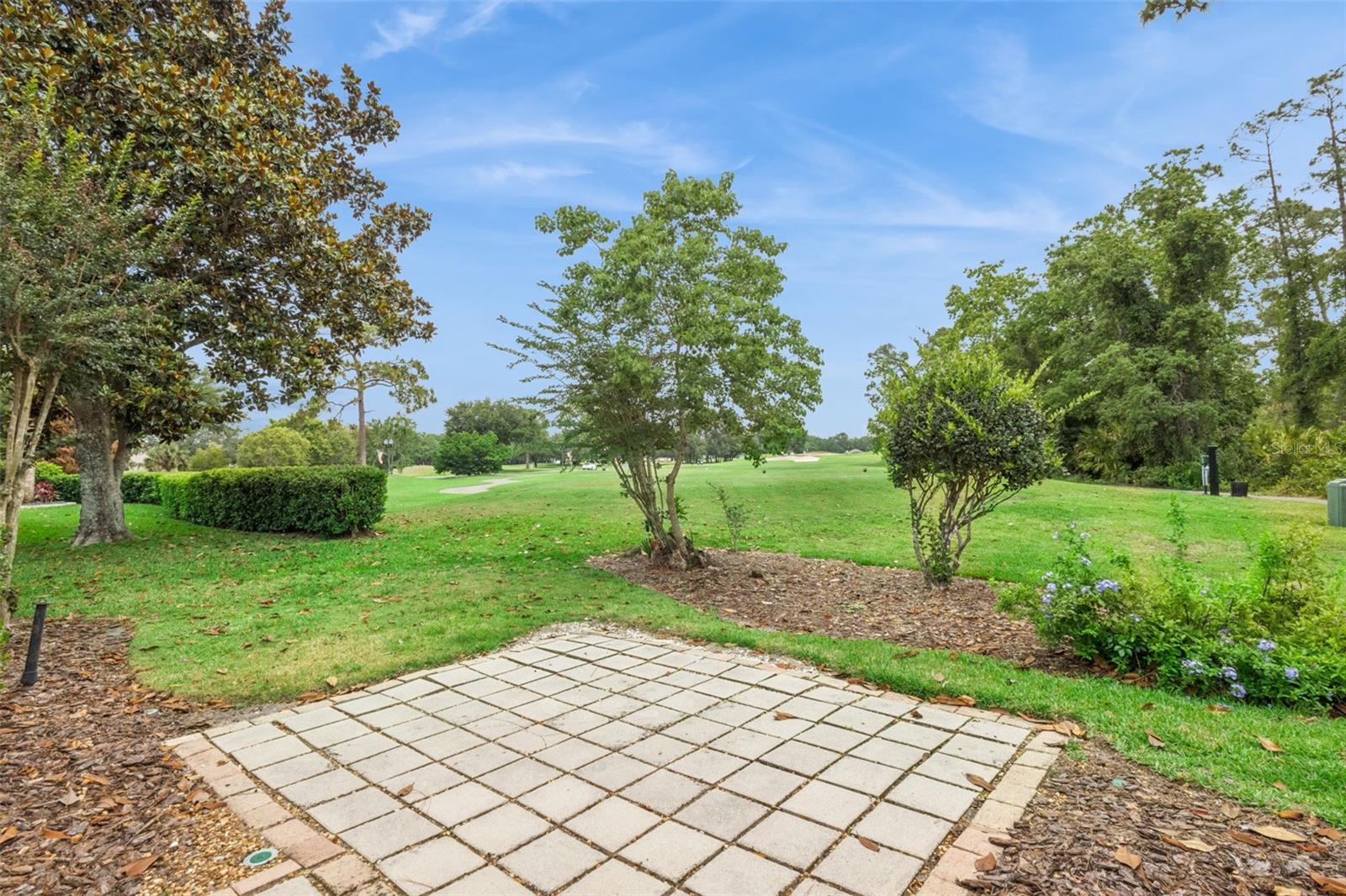 THE COUNTRY CLUB OF MOUNT DORA - Residential