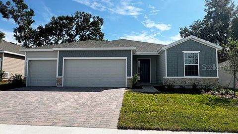 Photo of 12809 NW 13th Lane, Newberry, FL 32669 (MLS # OM702147)
