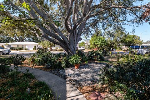 A home in DUNEDIN