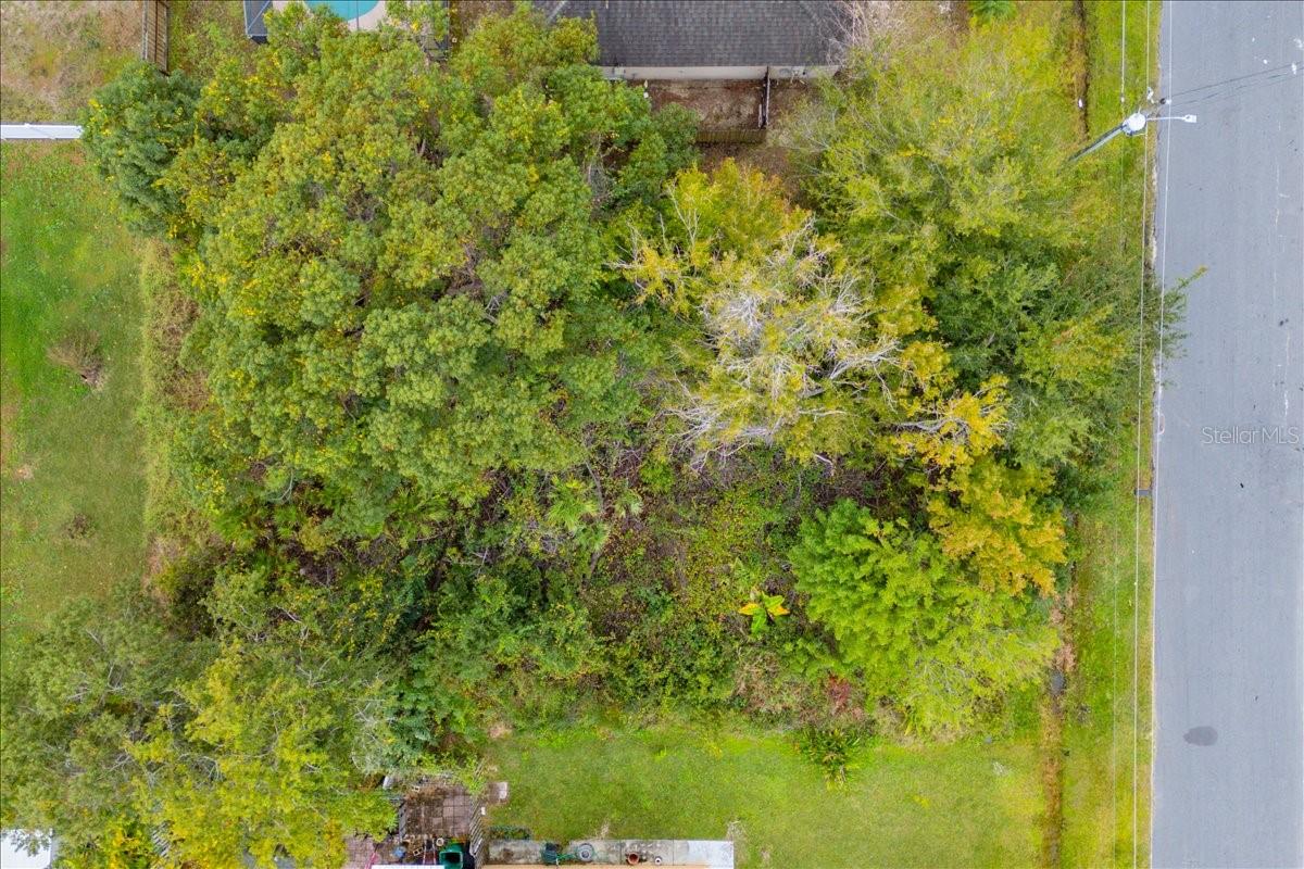 POINCIANA VILLAGE 5 NBHD 1 - Land