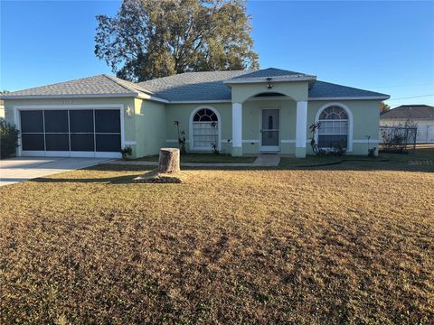 Photo of 706 Hawk Lane, Kissimmee, FL 34759 (MLS # P4937707)