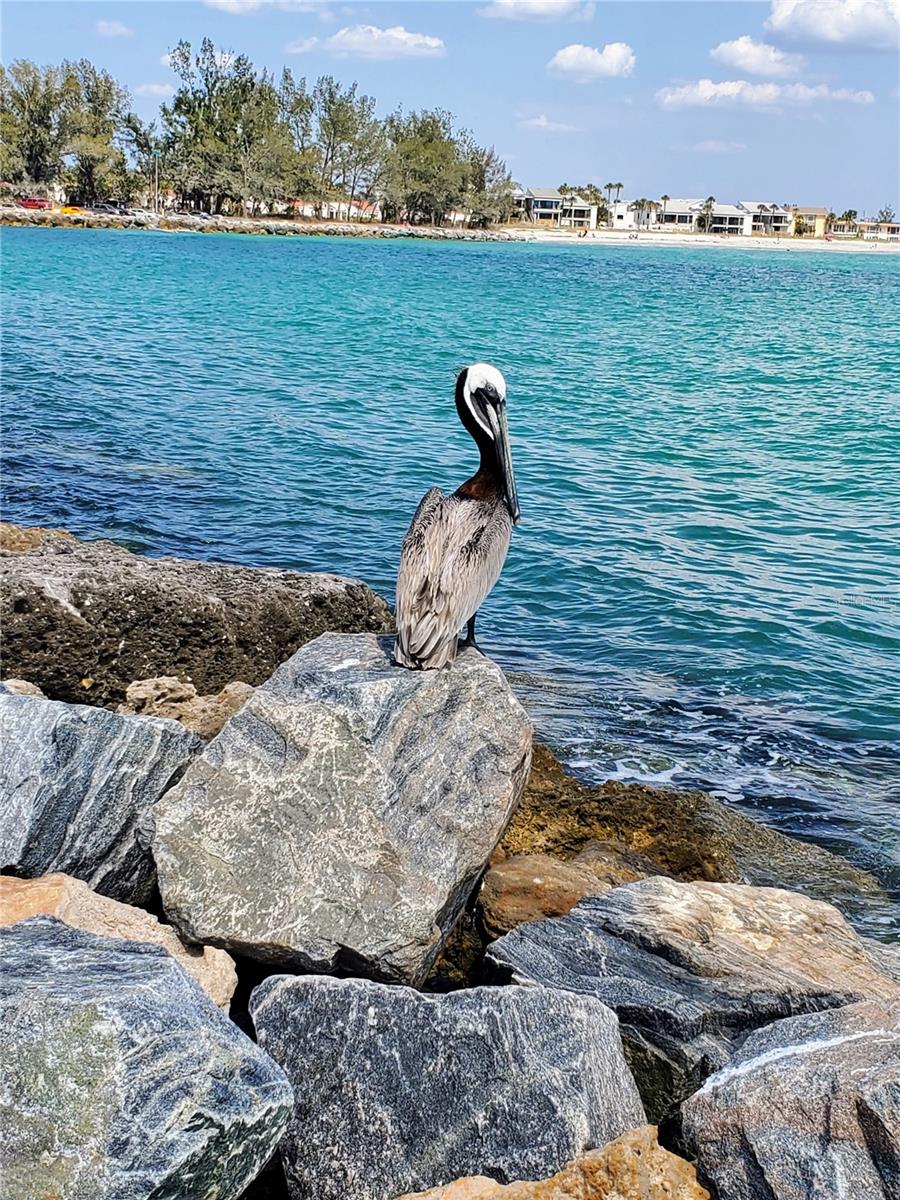 VILLAGE APTS PH 1 - Residential