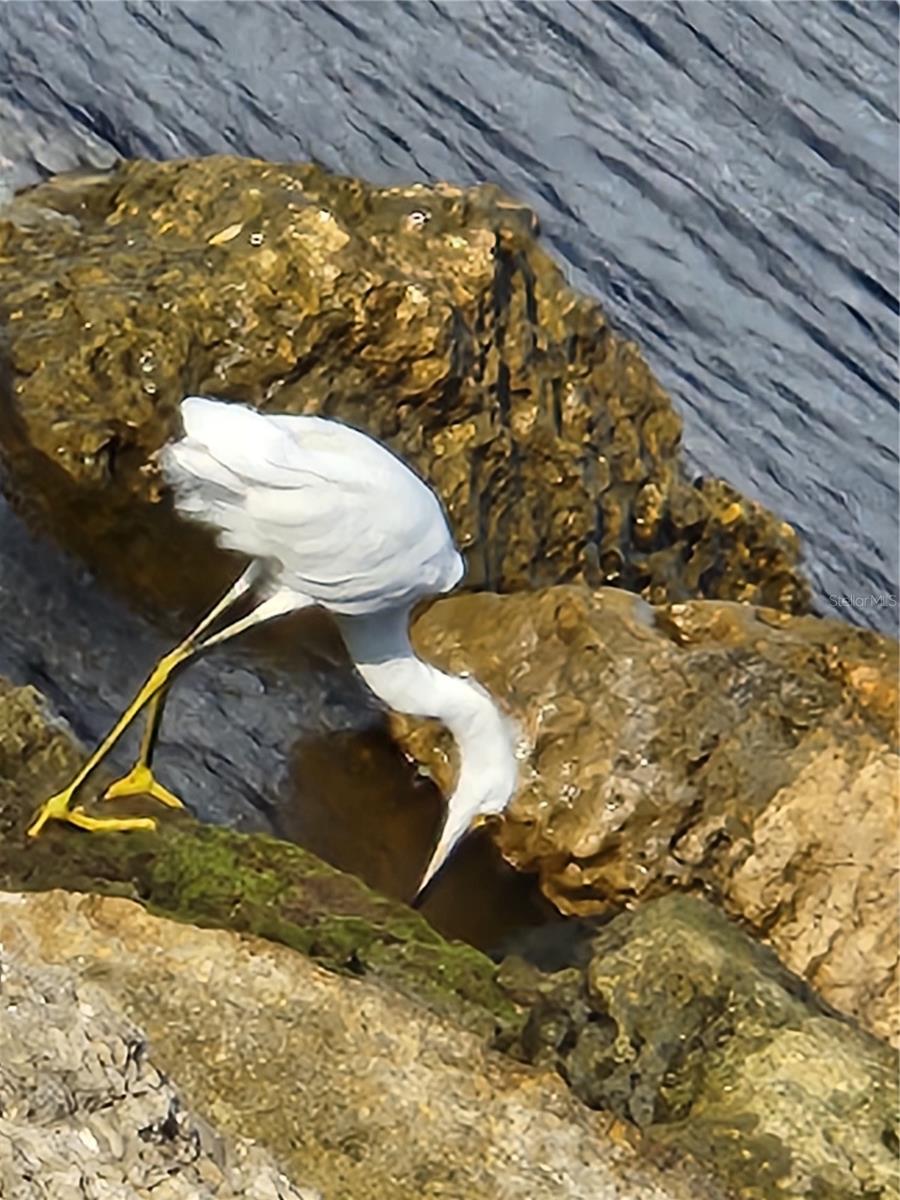 VILLAGE APTS PH 1 - Residential