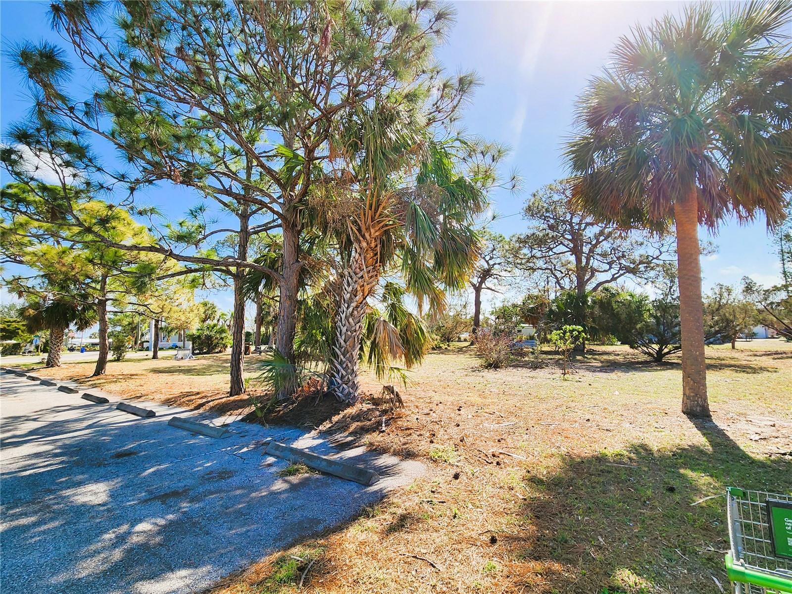 VILLAGE APTS PH 1 - Residential