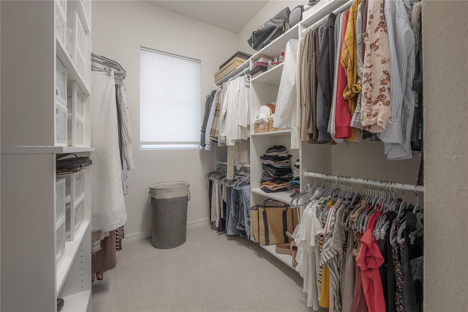 CITRUS CHASE - Residential