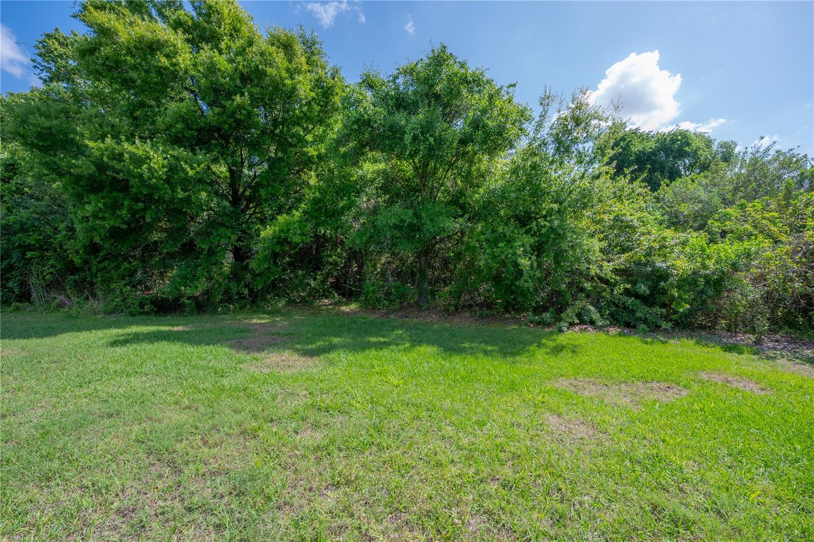 CITRUS CHASE - Residential