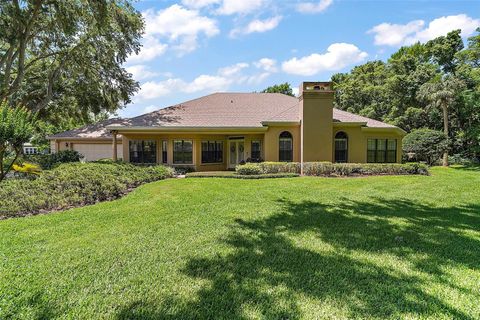 621 HIGH POINT DRIVE MOUNT DORA FL 32757