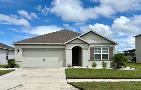 915 NOBLE RUN NEW SMYRNA BEACH FL 32168