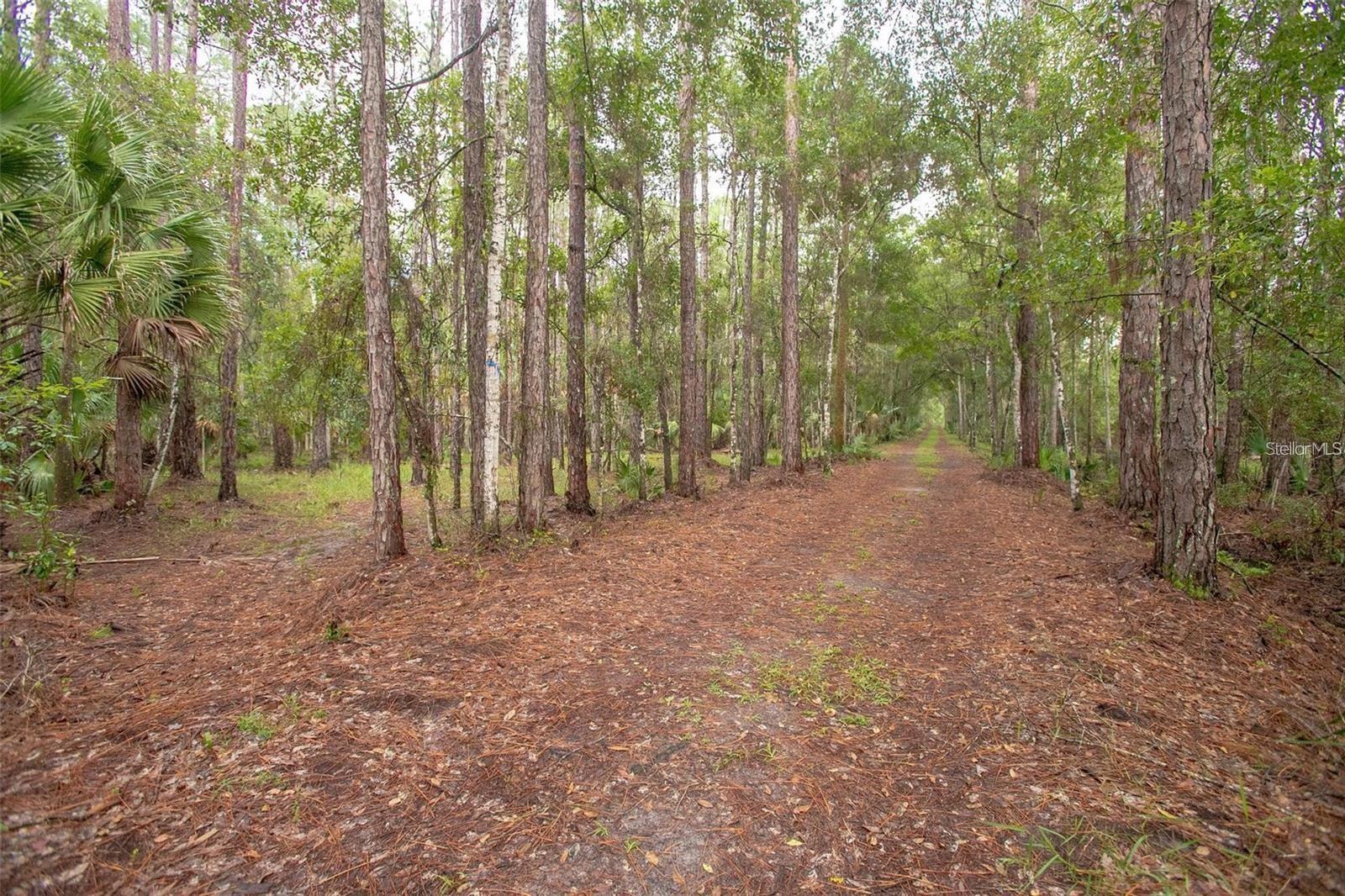 1971 OLD TRAIN ROAD