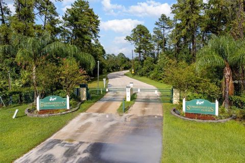 1971 OLD TRAIN ROAD DELTONA FL 32738