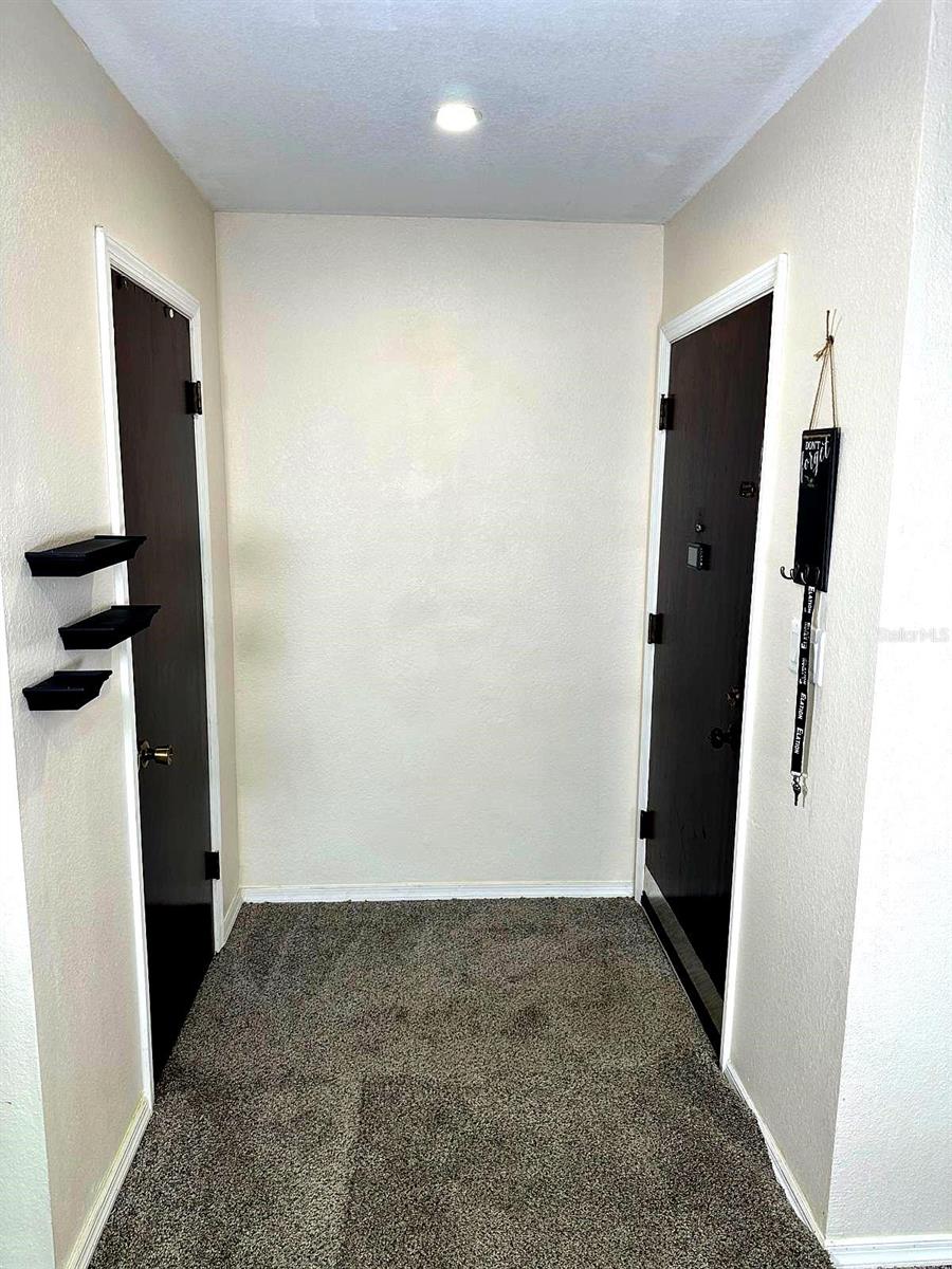 113 SPRINGWOOD CIRCLE 113D