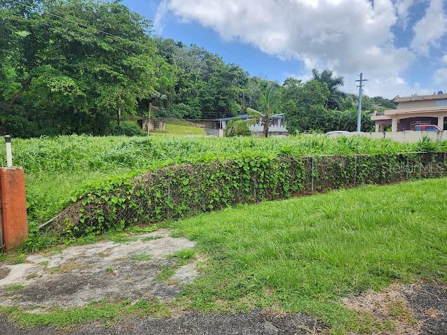 COLLORES WARD - Residential