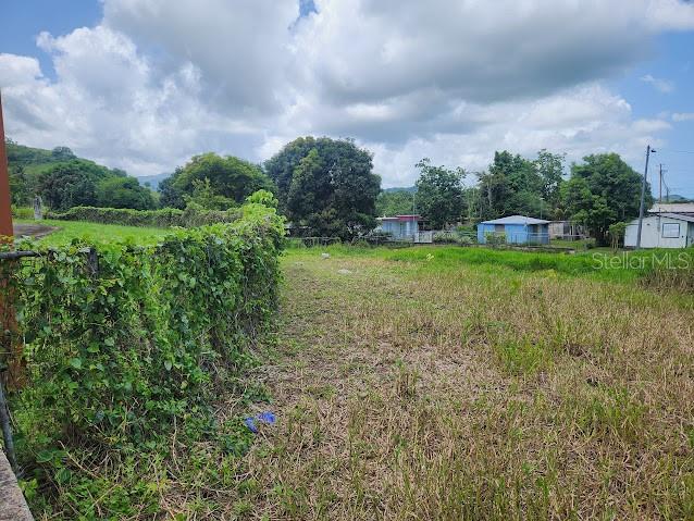 COLLORES WARD - Residential