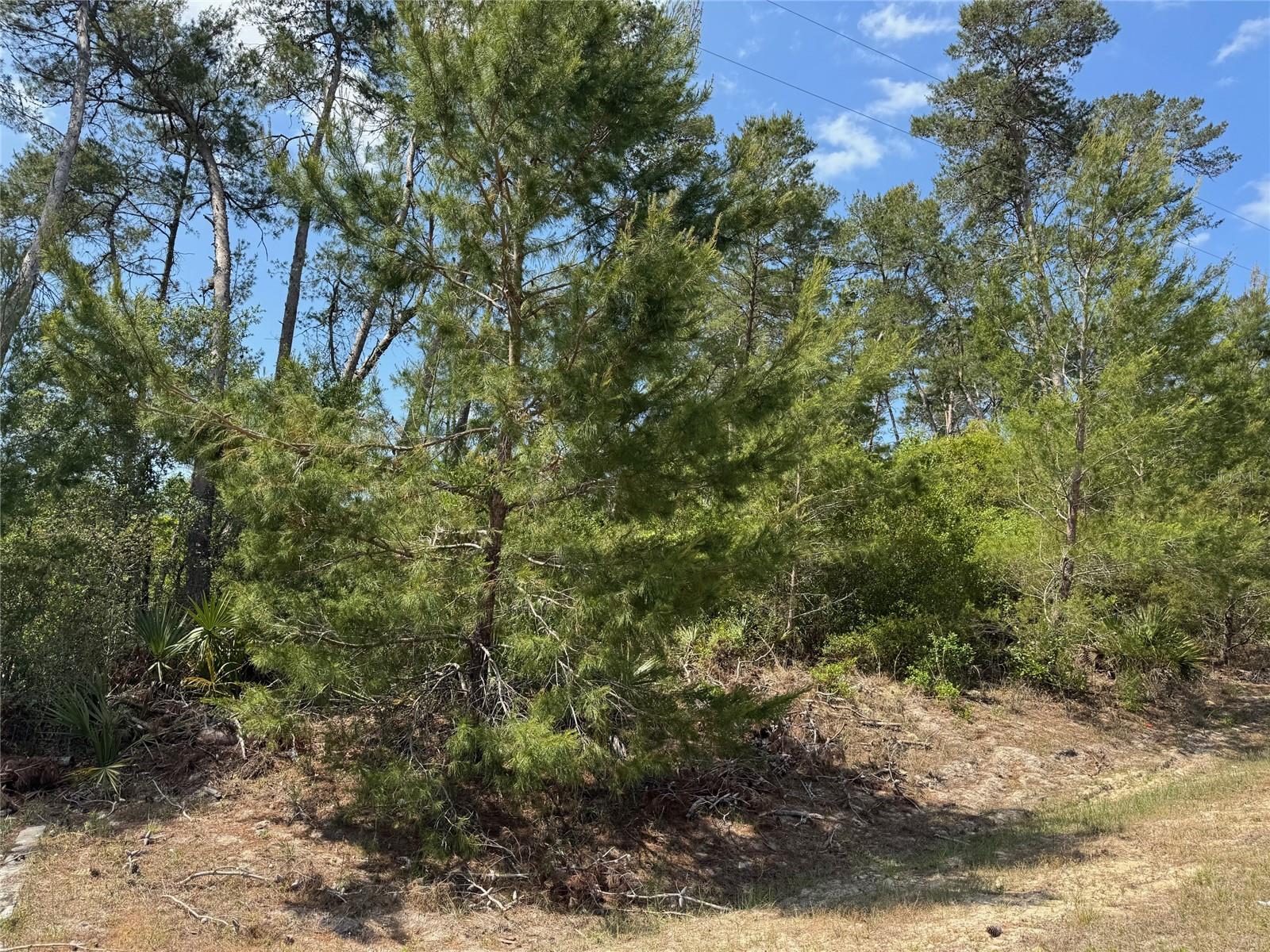 TBD SW 112TH ST Lot #17
