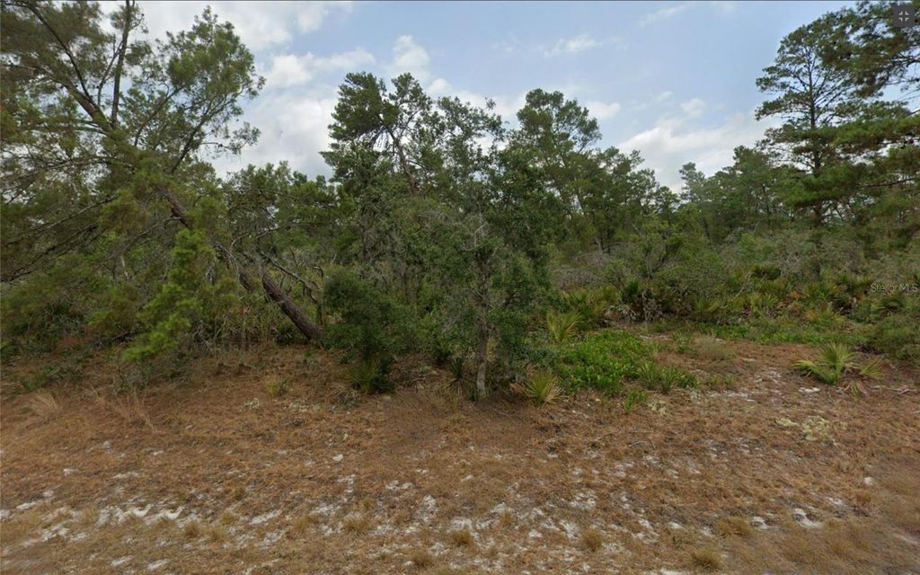 Photo of 7824 Paradela Drive, Sebring, FL 33872 (MLS # TB8435692)