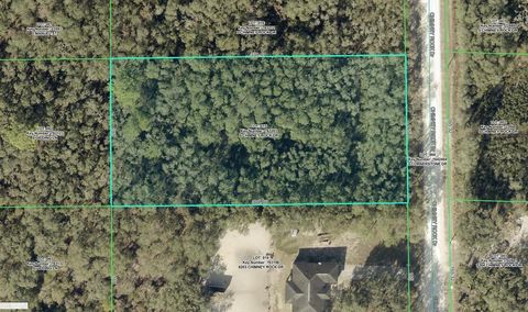 8223 CHIMNEY ROCK DRIVE WEBSTER FL 33597