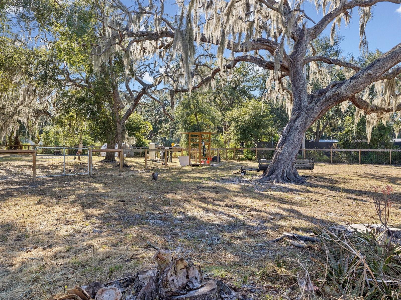 UNPLATTED - Residential