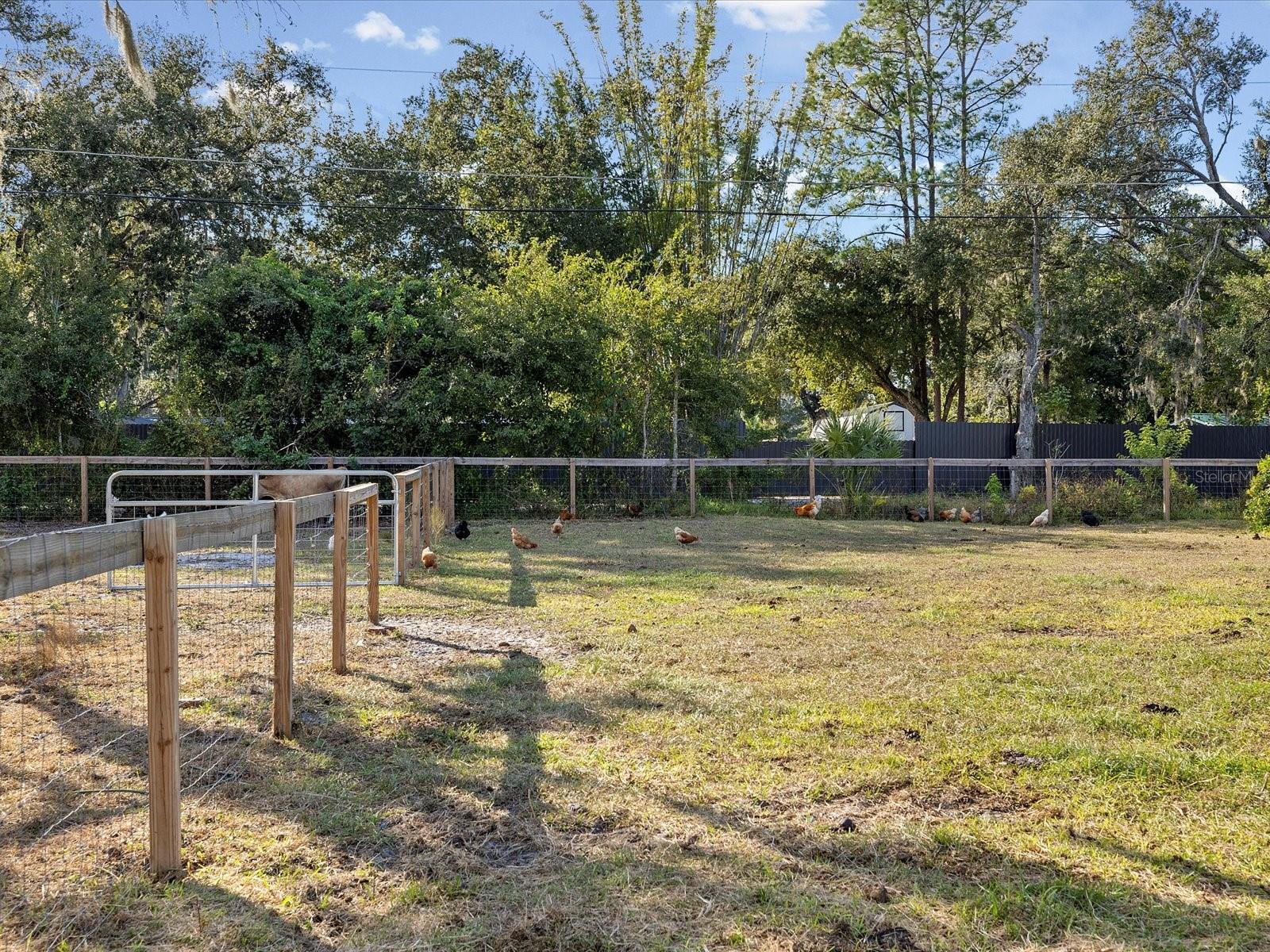 UNPLATTED - Residential