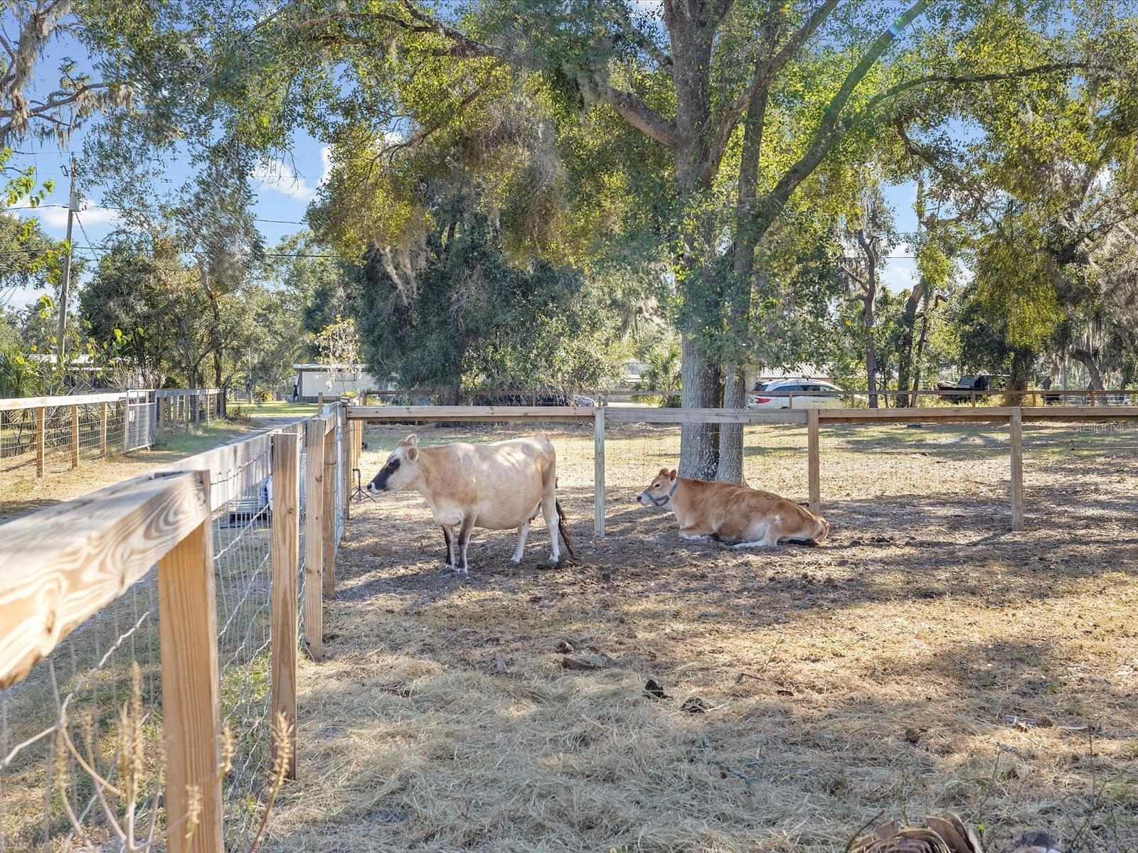 UNPLATTED - Residential