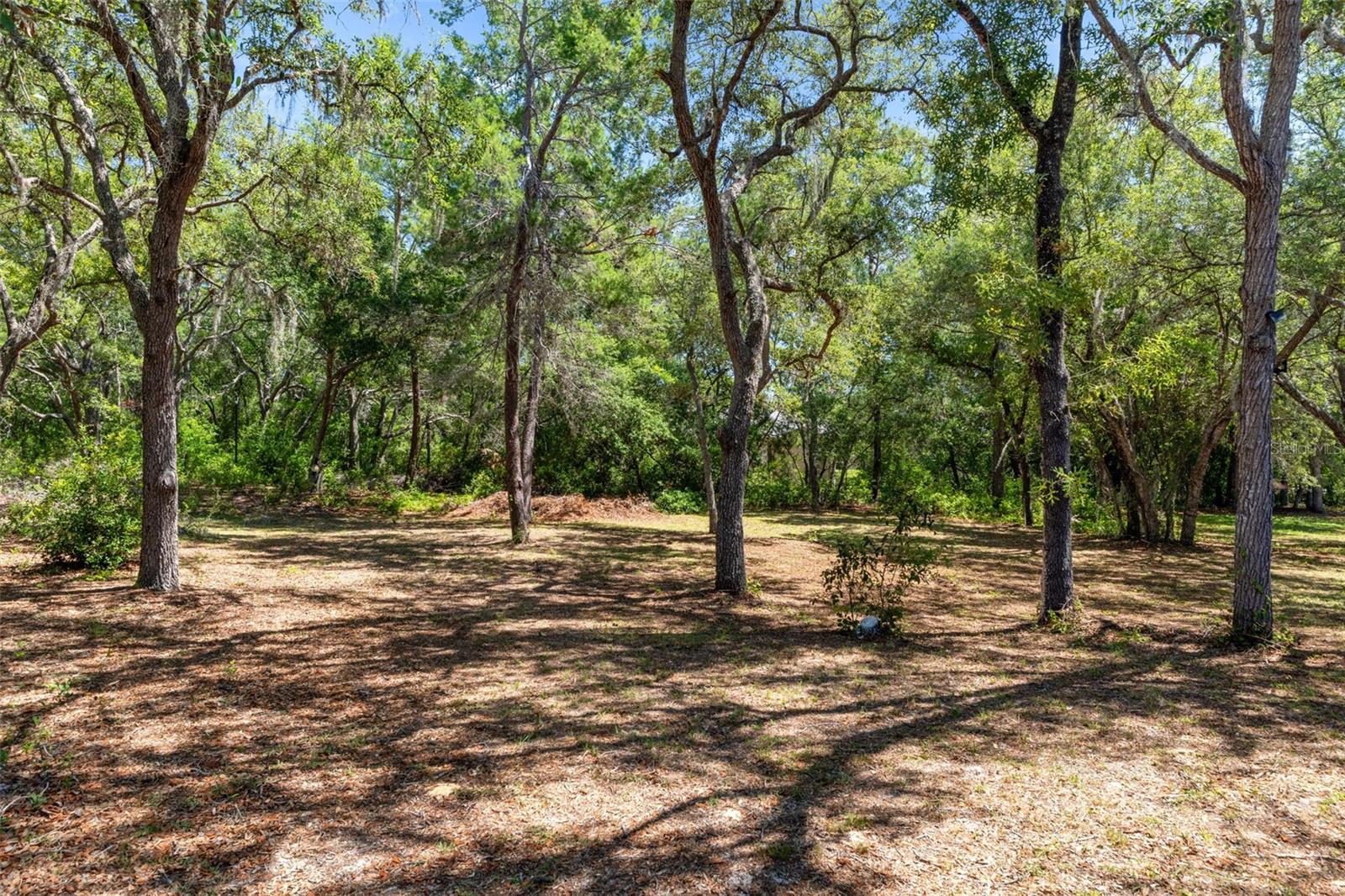 CITRUS HILLS - Residential