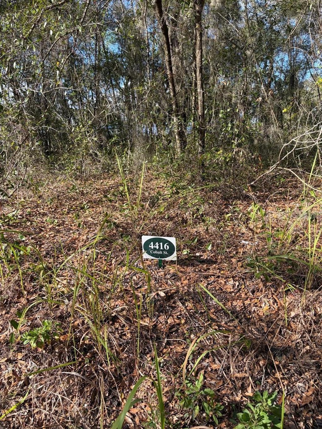 Photo of 4416 Cobalt Street, Palatka, FL 32177 (MLS # O6389250)