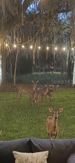 SOUTHERN HILLS PLANTATION PH 2 - Residential