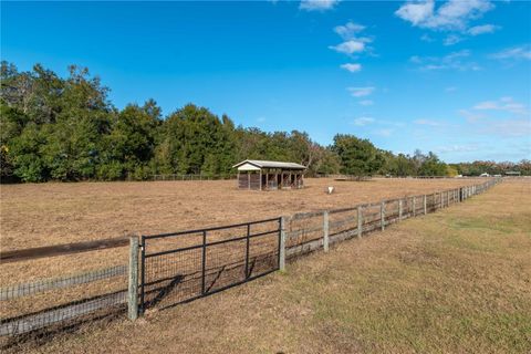 Tiny photo for 9032 NW 30th Avenue, Ocala, FL 34475 (MLS # OM716526)