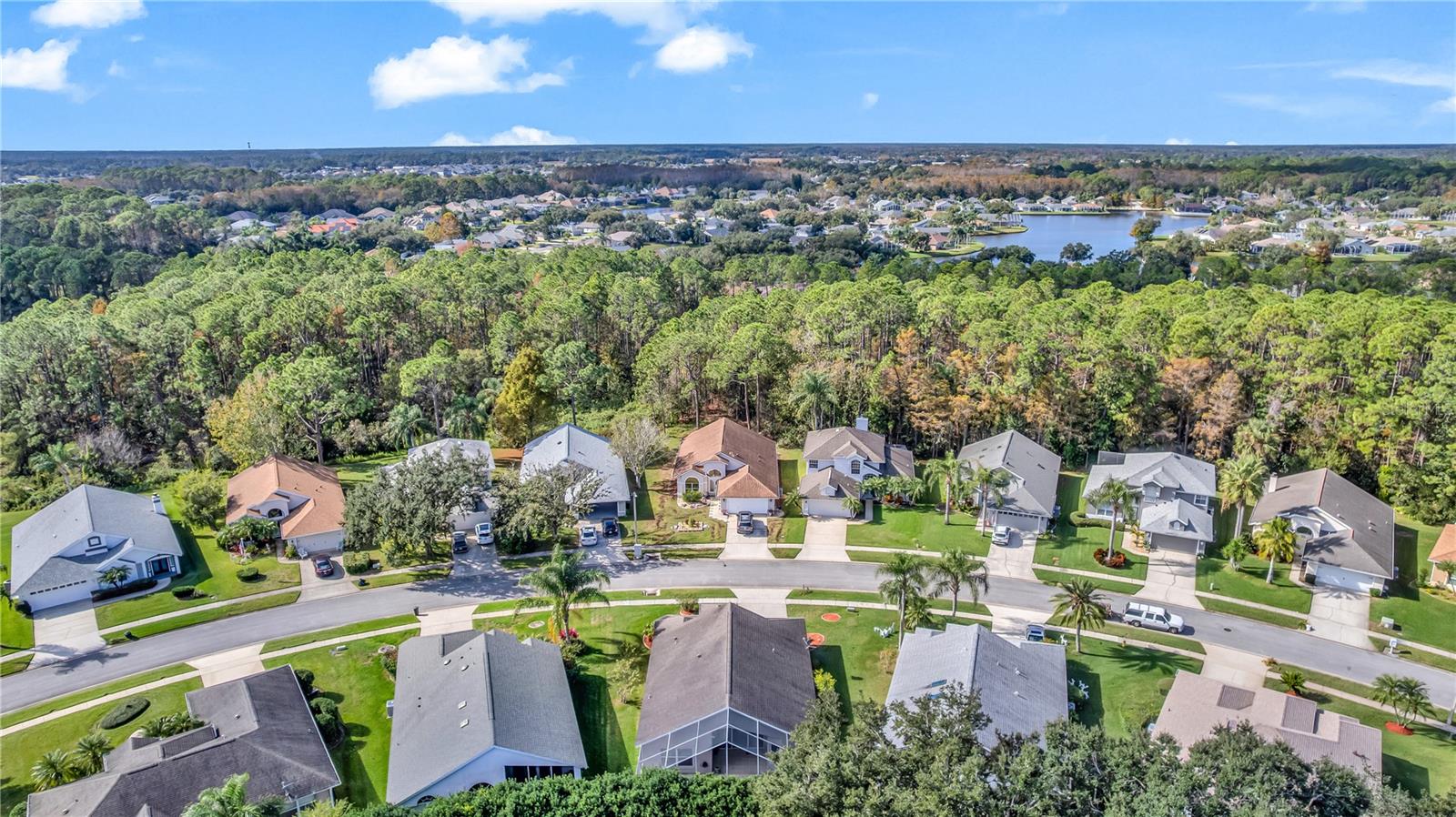 THE PALMS AT CYPRESS HEAD - Residential