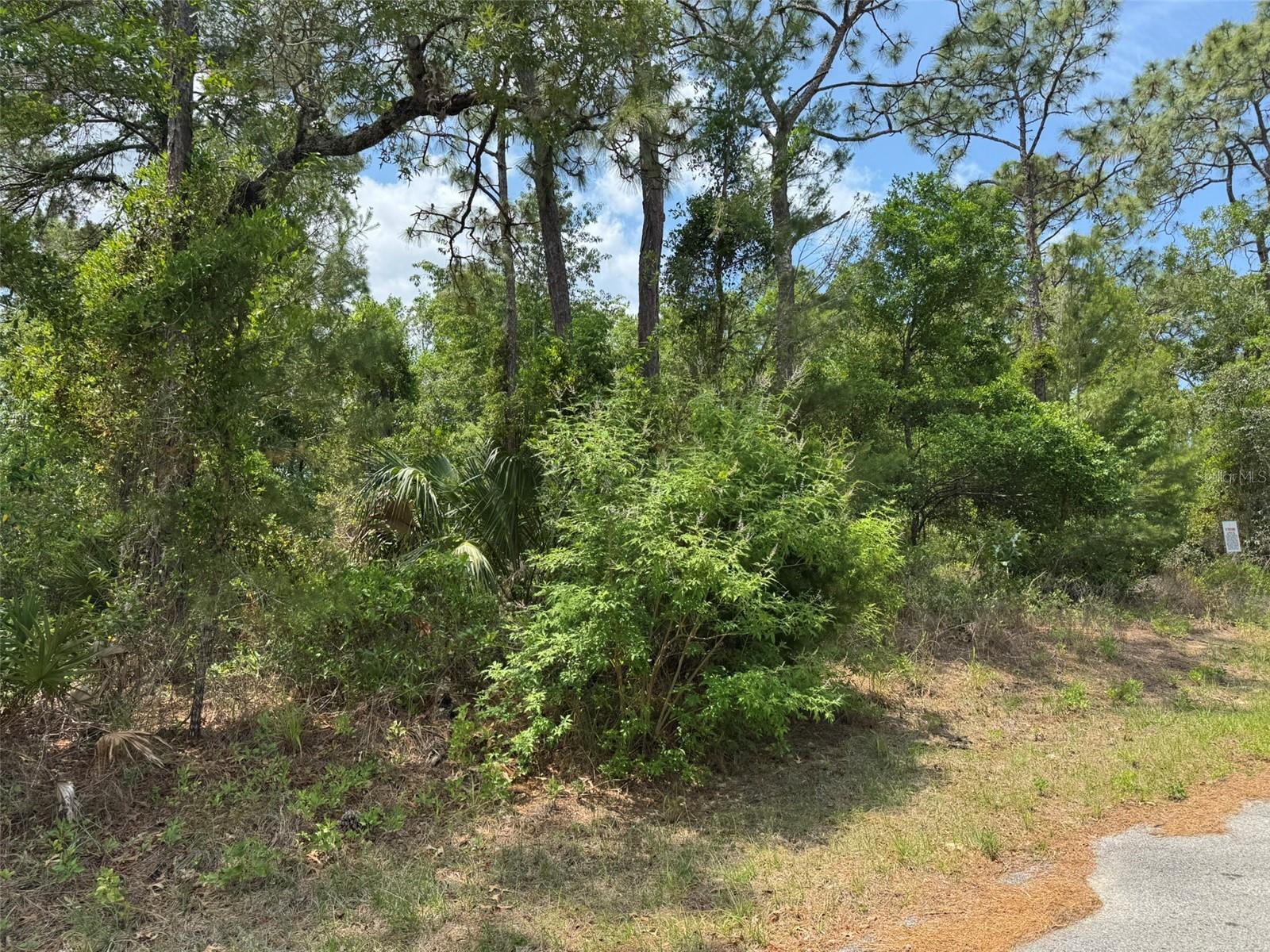 Lot 78 WATERBIRD WAY