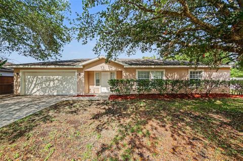 Photo of 245 E Oak Run Court, Apopka, FL 32703 (MLS # O6403935)