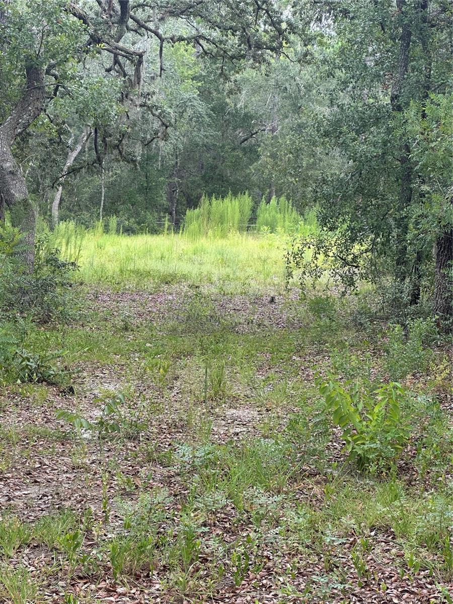 Photo of 5730 SE County Road 337, Morriston, FL 32668 (MLS # OM729271)