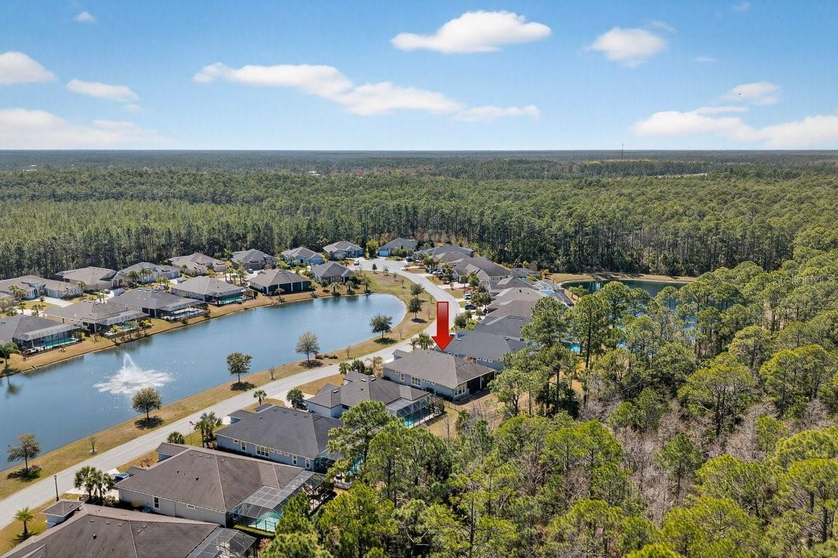 PLANTATION BAY - Residential