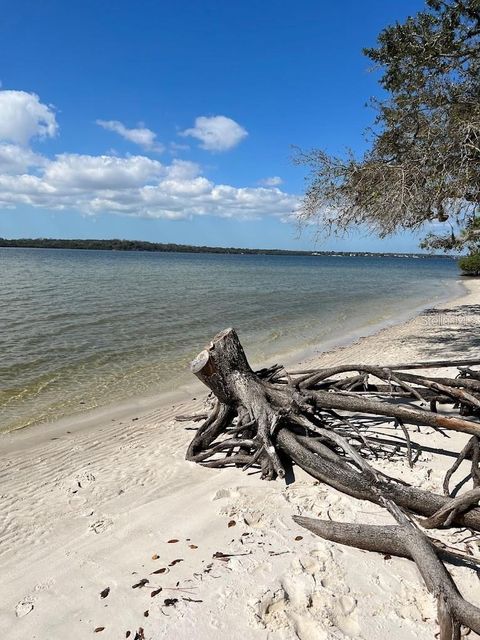 A home in OLDSMAR