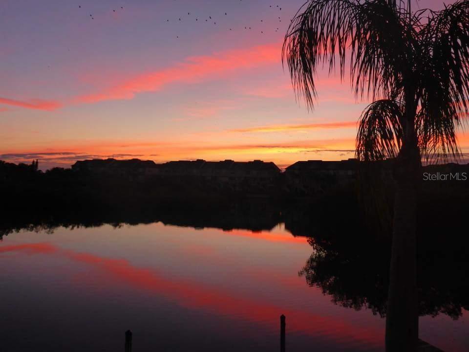 BAY POINTE CONDO - Residential Lease