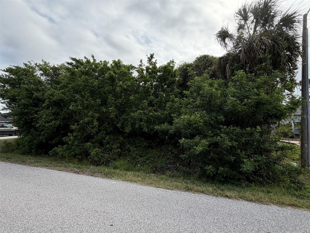 Photo of 1352 Abalom Street, Port Charlotte, FL 33980 (MLS # N6143960)