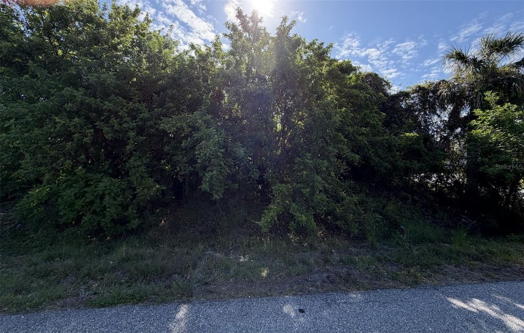 Photo of 1352 Abalom Street, Port Charlotte, FL 33980 (MLS # N6143960)