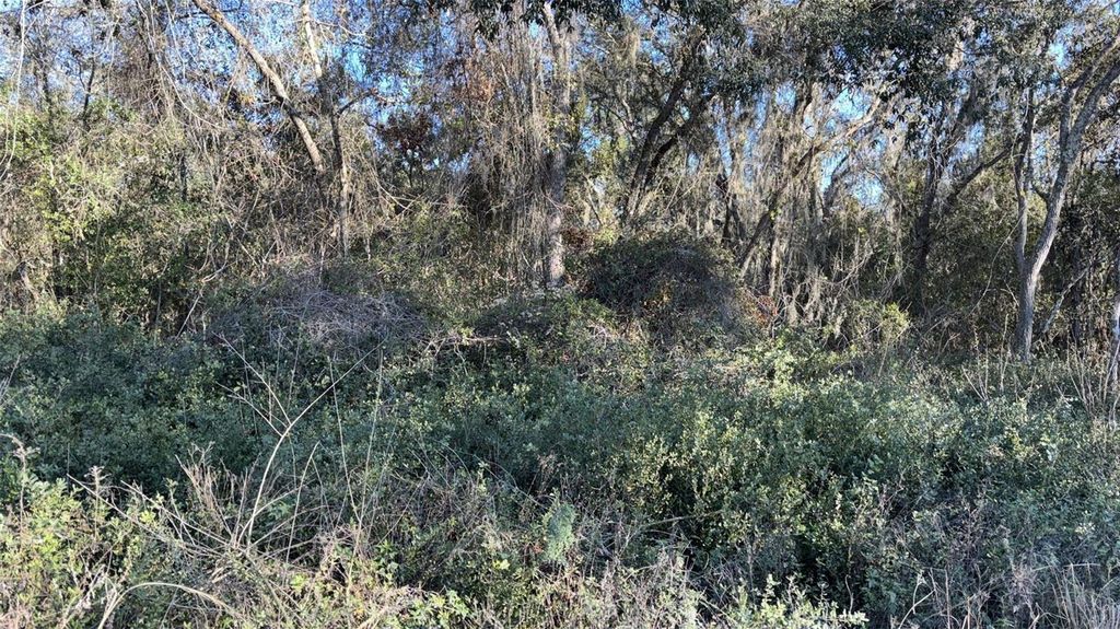 Photo of 0 Bounty/Barrett, New Port Richey, FL 34654 (MLS # W7887111)