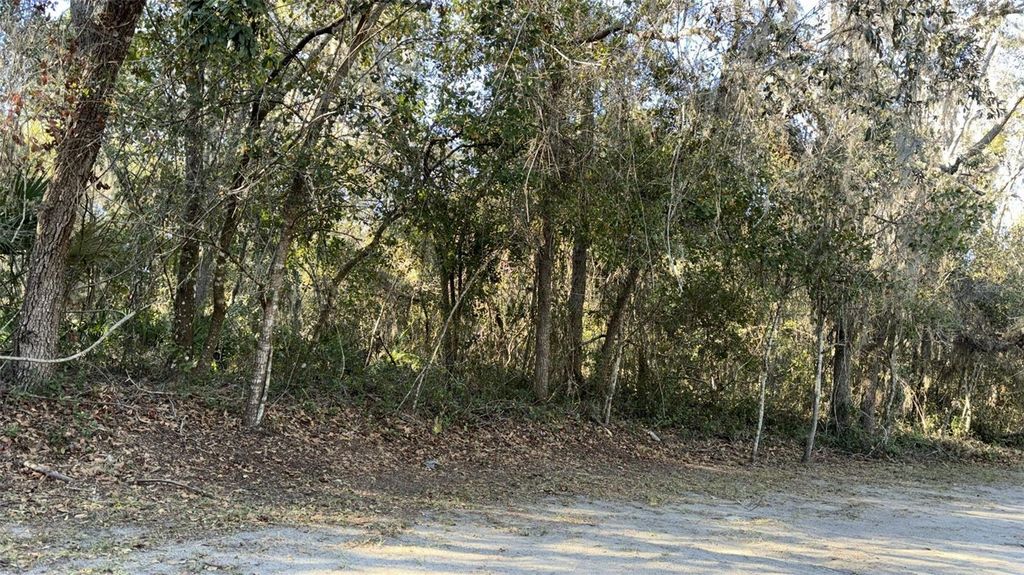 Photo of 0 Bounty/Barrett, New Port Richey, FL 34654 (MLS # W7887111)