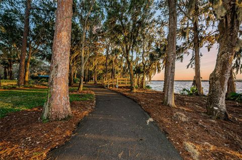 A home in PALM HARBOR