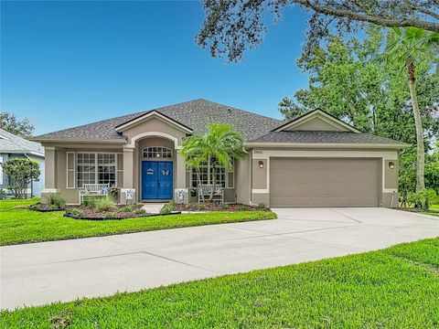 Photo of 19101 Golden Cacoon Place, Lutz, FL 33558 (MLS # TB8516413)
