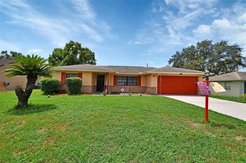 A home in DELTONA