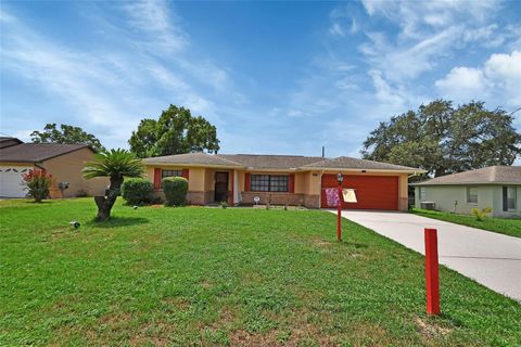 A home in DELTONA