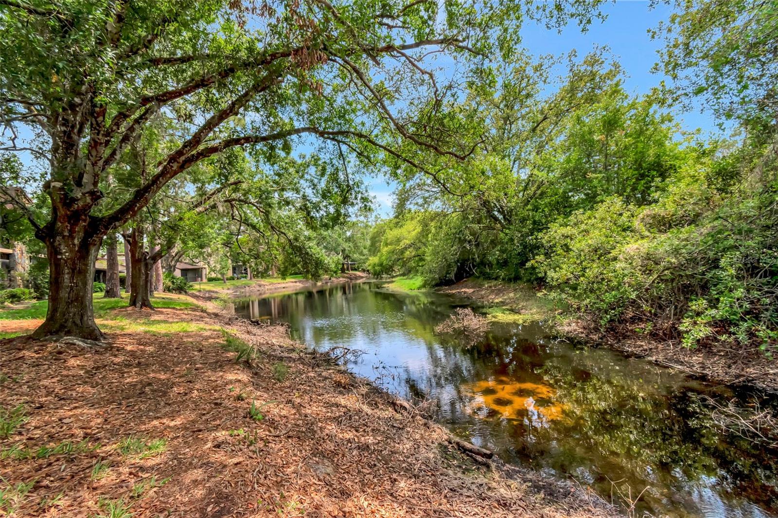 TARPON WOODS CONDO 3 - Residential Lease