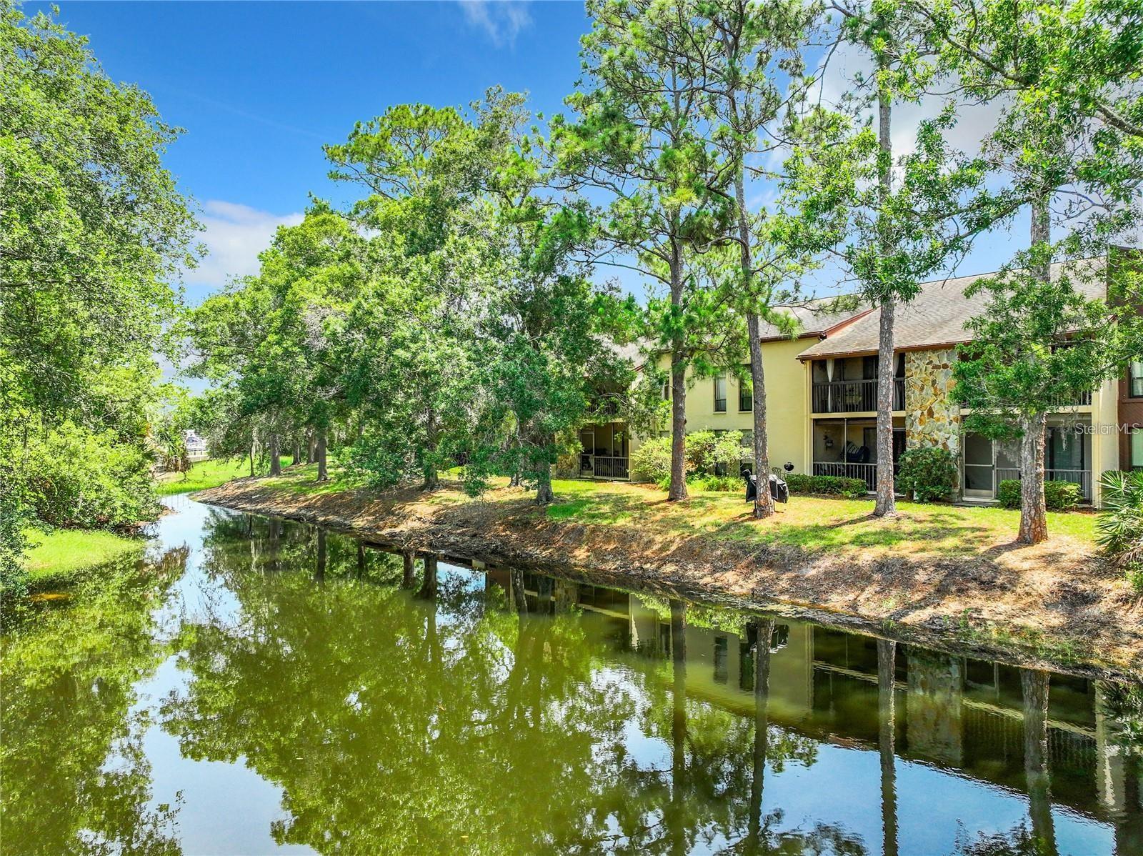 TARPON WOODS CONDO 3 - Residential Lease